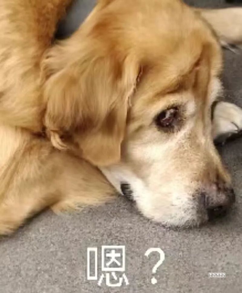 “大汽车”来了玩法